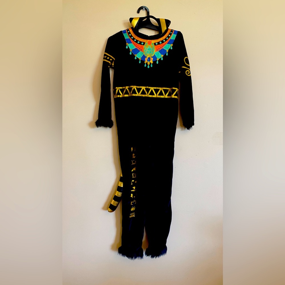 Beautiful Egyptian cat costume- child’s size medium